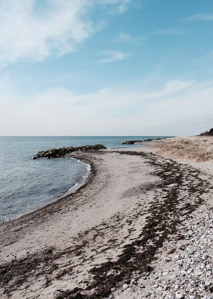 Beach Walk No. 1