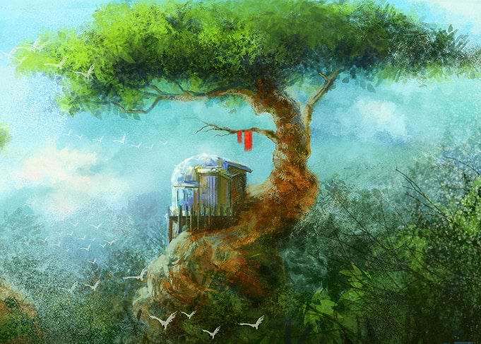 Treetop Real Estate