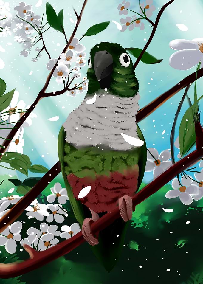 Spring Bird