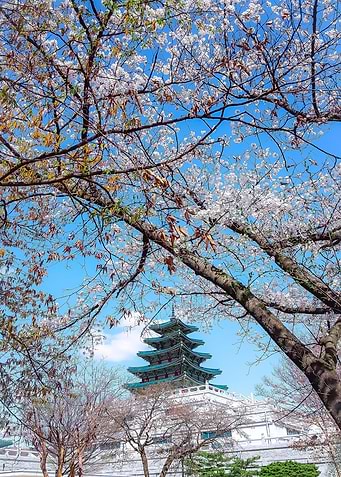 Palace in Spring