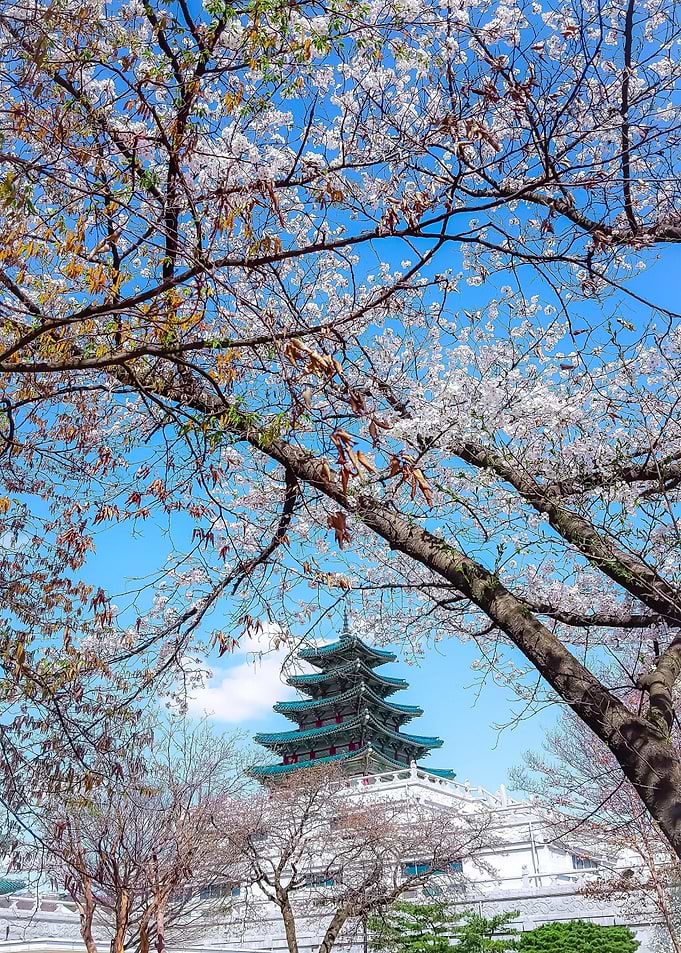 Palace in Spring