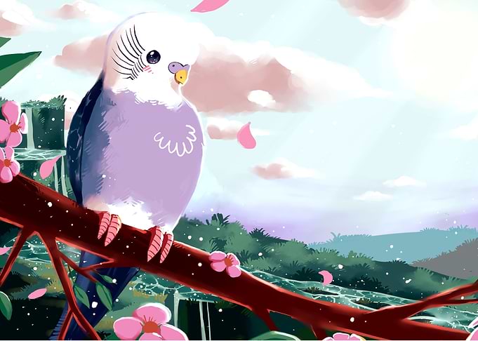 Spring Budgie