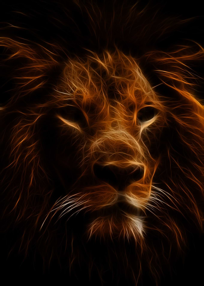 The lion