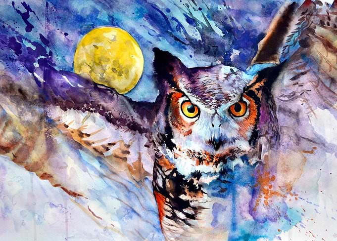 Owl