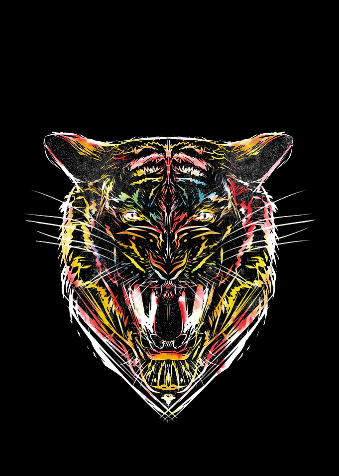wild tiger