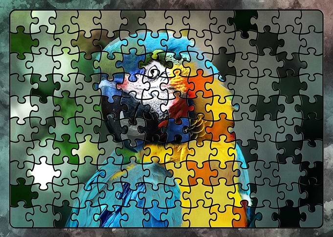 Puzzle parrot