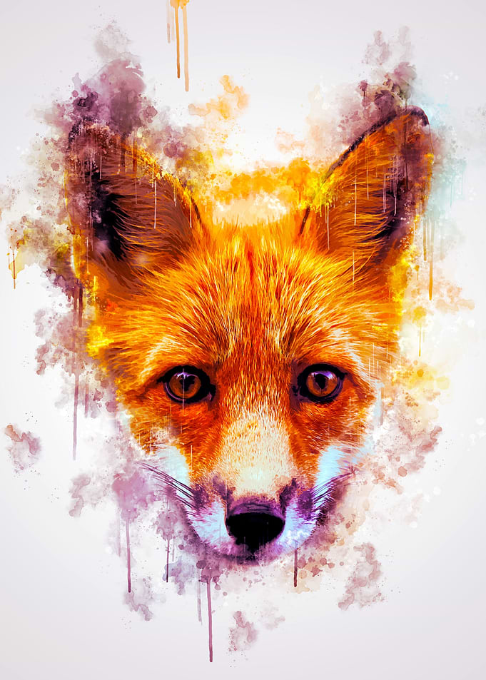 Fox Head