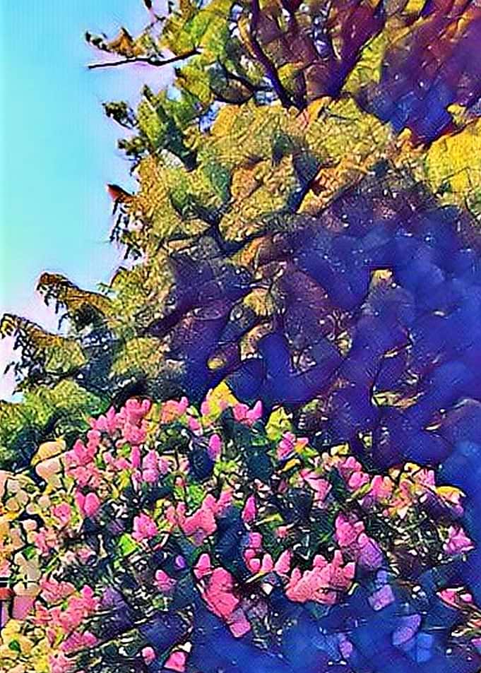 spring garden