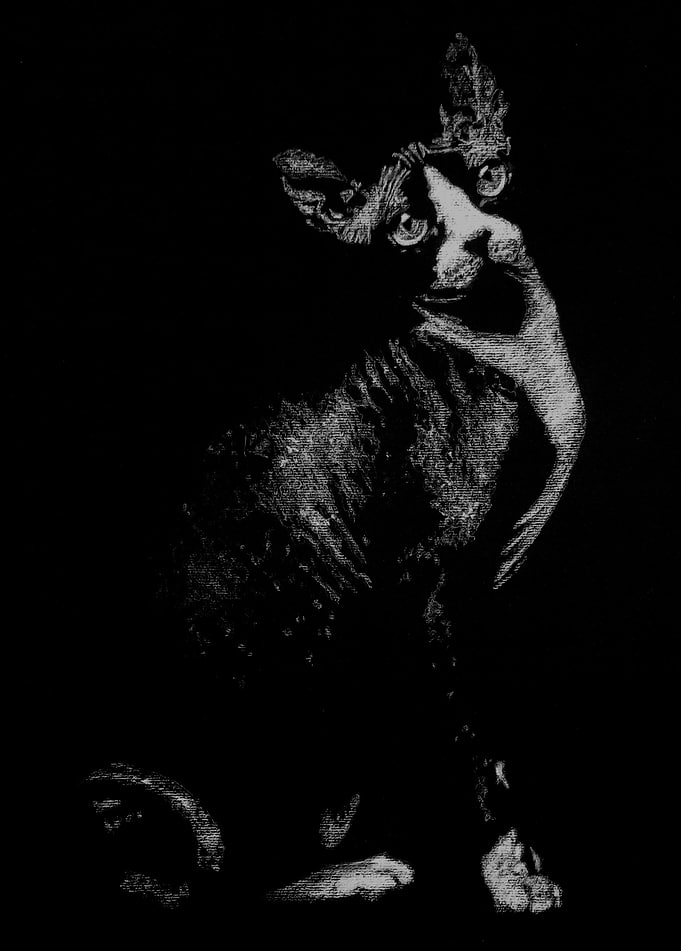 Esfinge