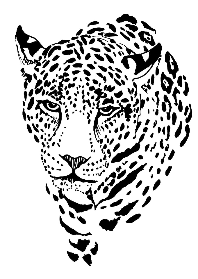 Leopard print