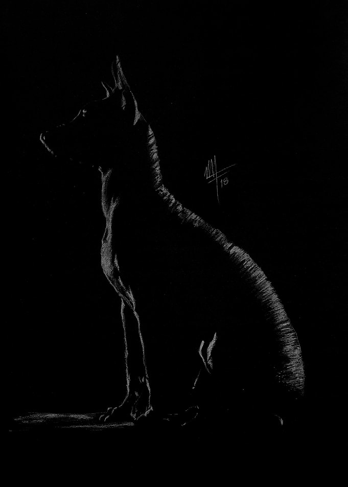 Xolo