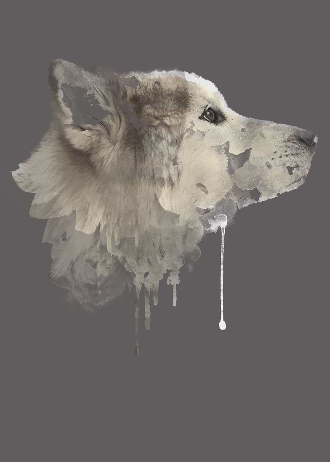 Wolf Painting