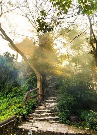 Mist in the mountain