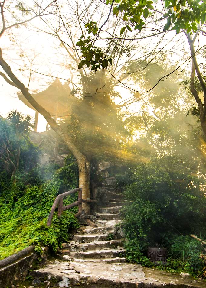 Mist in the mountain