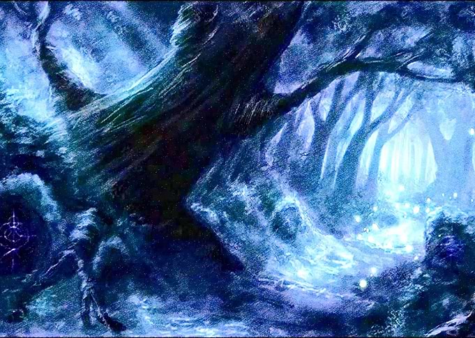 il bosco delle fate