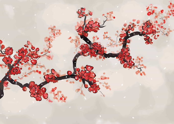 Cherry blossoms (SAKURA)