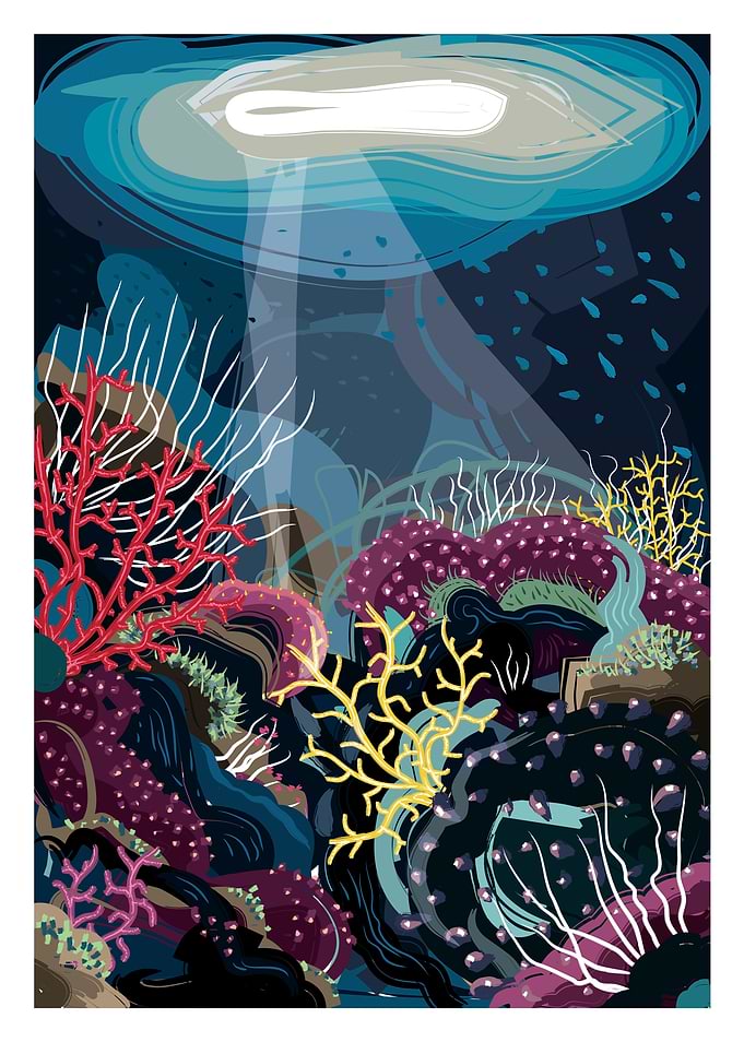 my deep sea