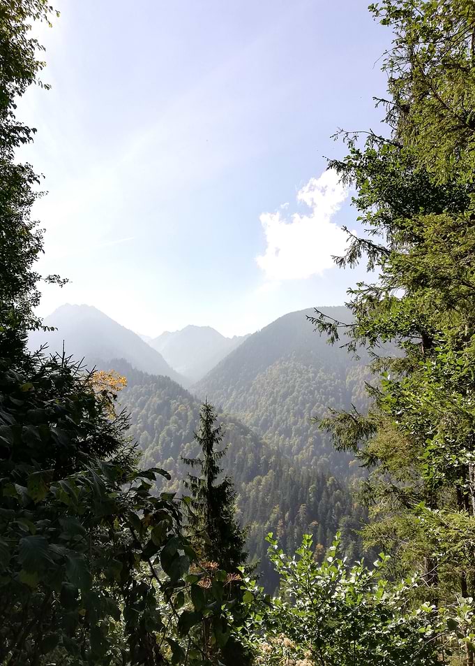 Limited mountain