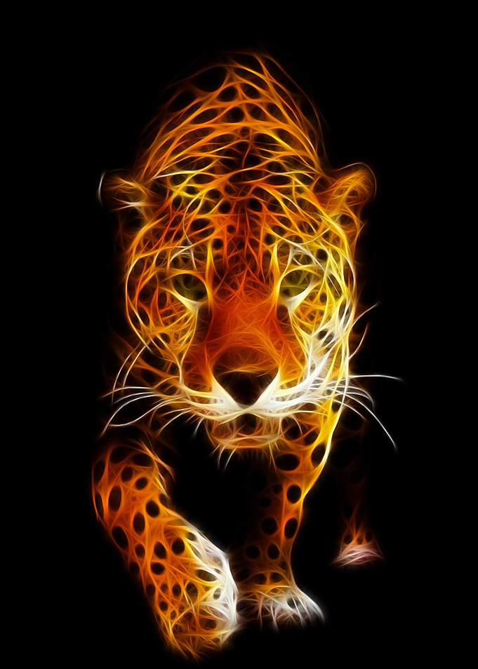 leopard