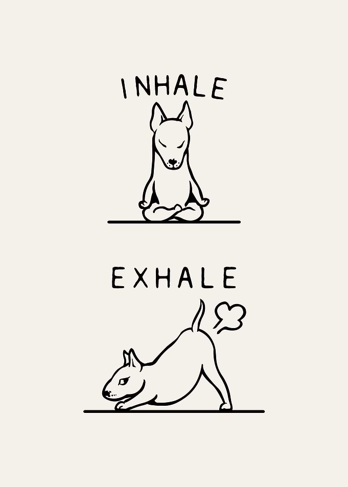 Inhale Exhale Bull Terrie