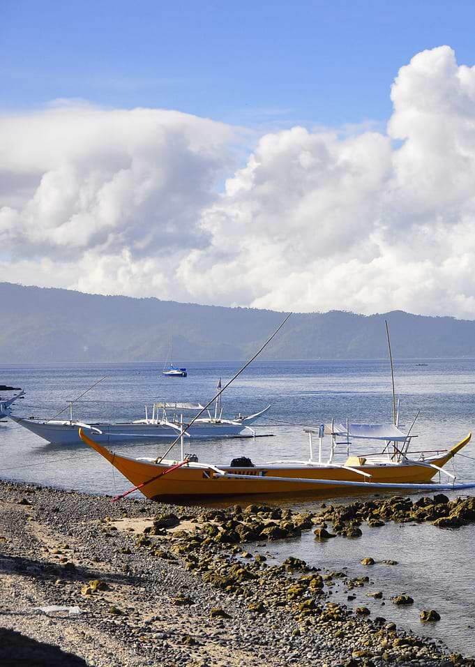 Boats by a beach