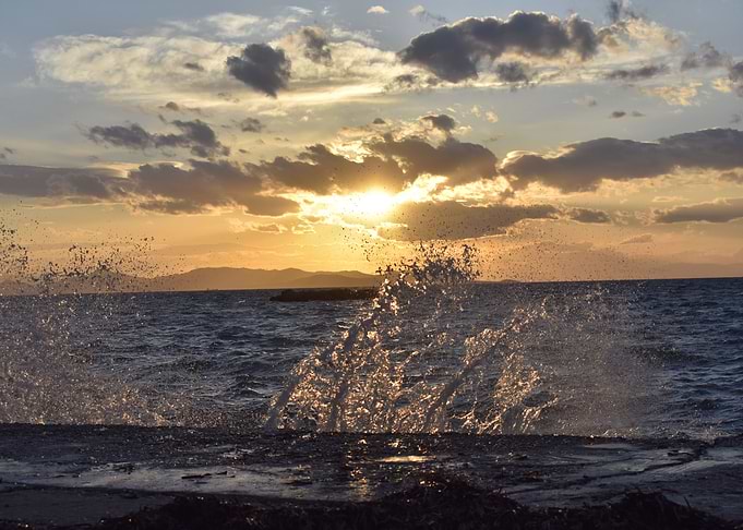 Sea means love