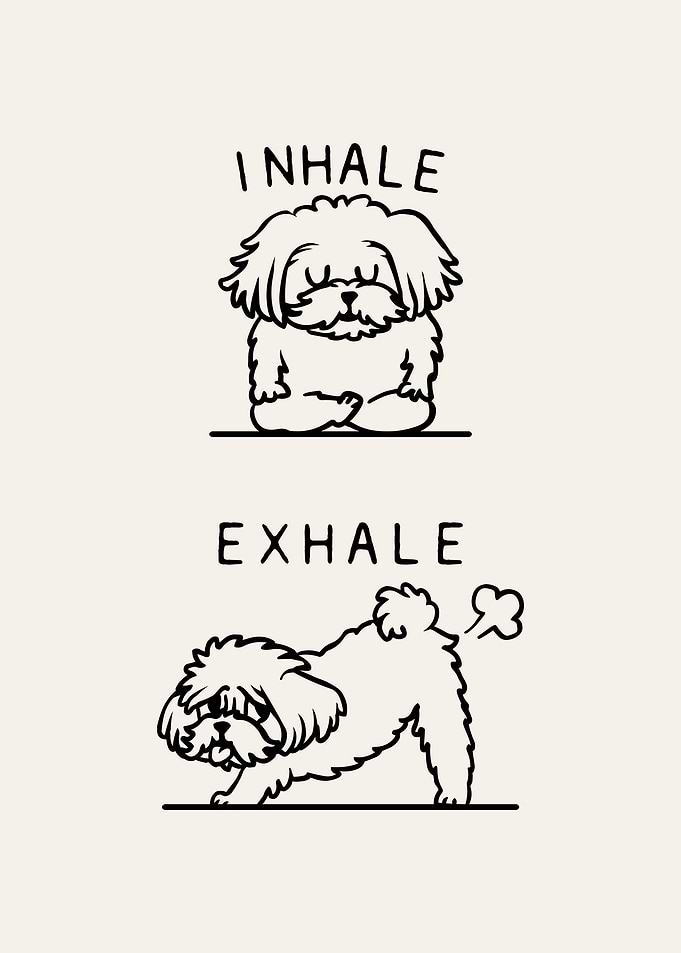 Inhale Exhale Maltese