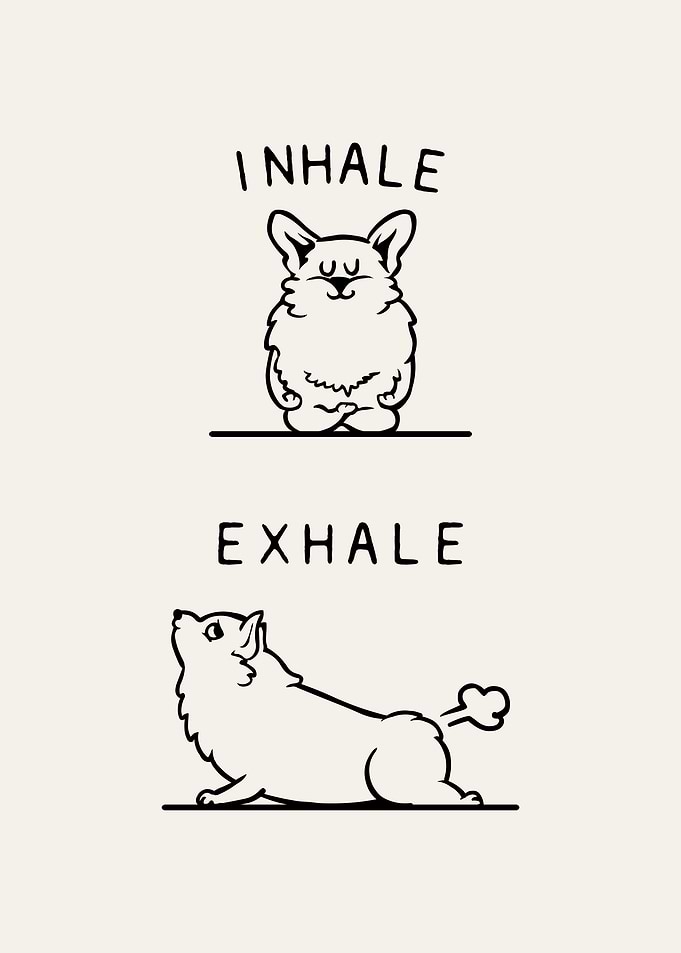 Inhale Exhale Corgi