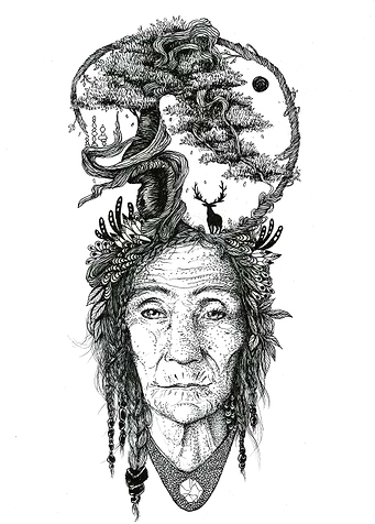 Seer