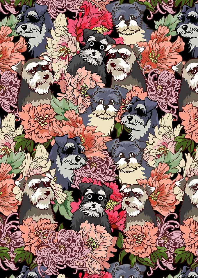 Because schnauzer