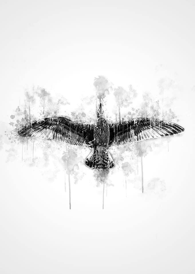 Bird Flying BW