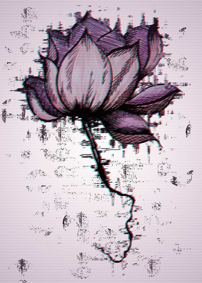 purple lotus fragments