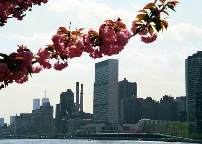New York 27