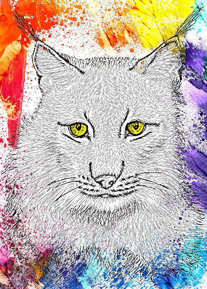 Colorful Lynx