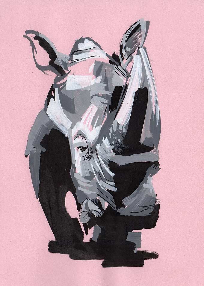 Pink Punk Rhino