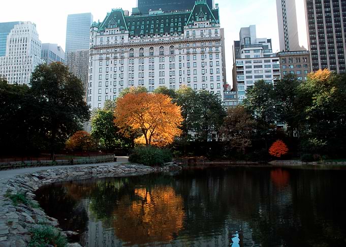 New York 28