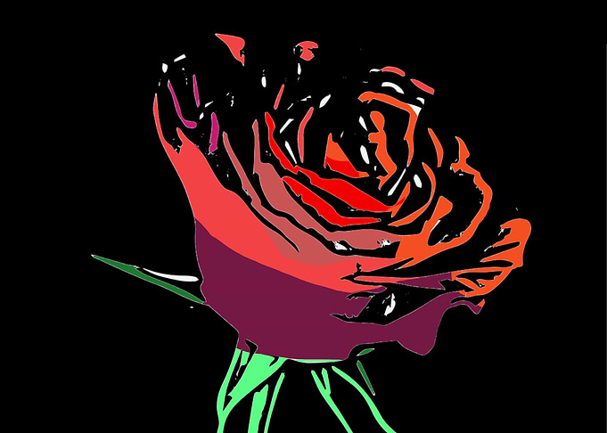 Dark Rose