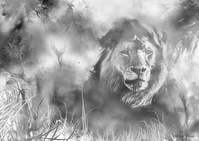 The old king