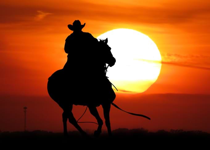 The Cowboy