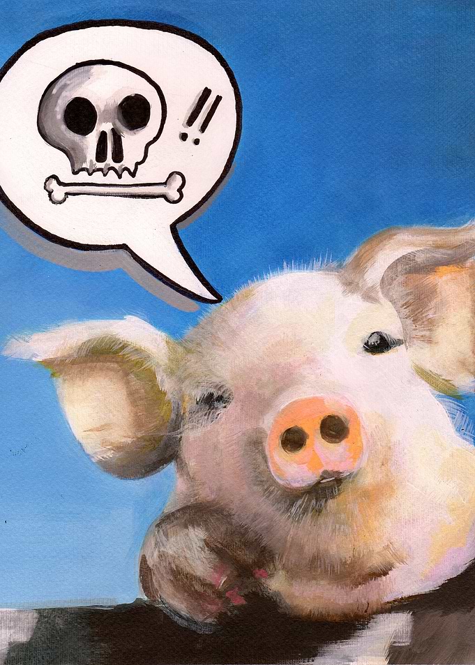 Pig say :'you die!!'