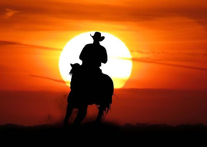 The Wrangler