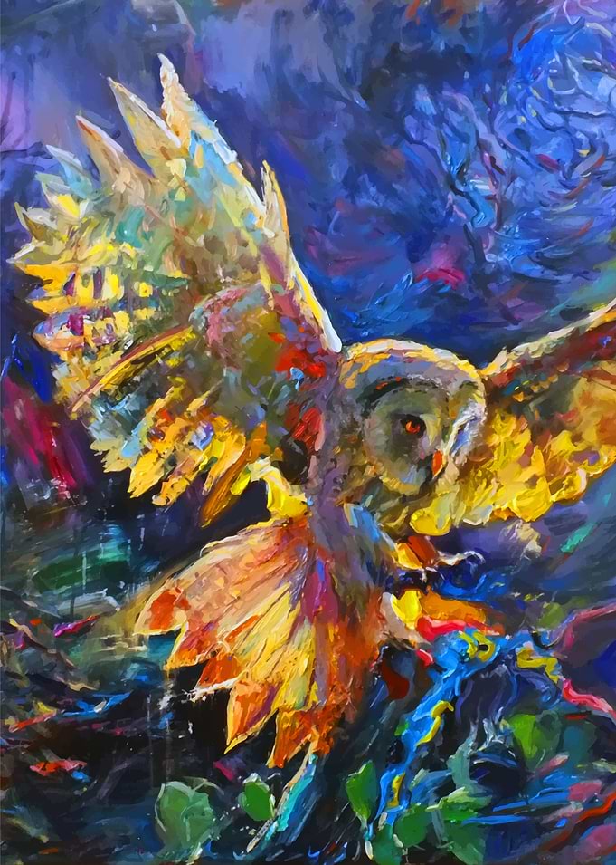Owl, Night