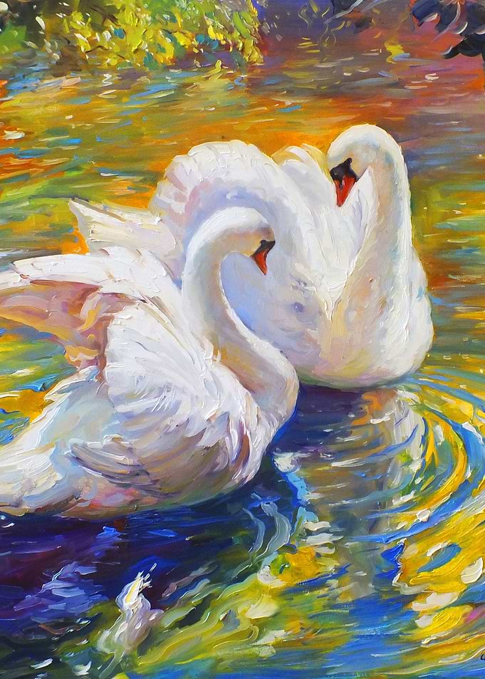Swans