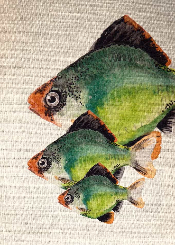 Green Tiger Barb