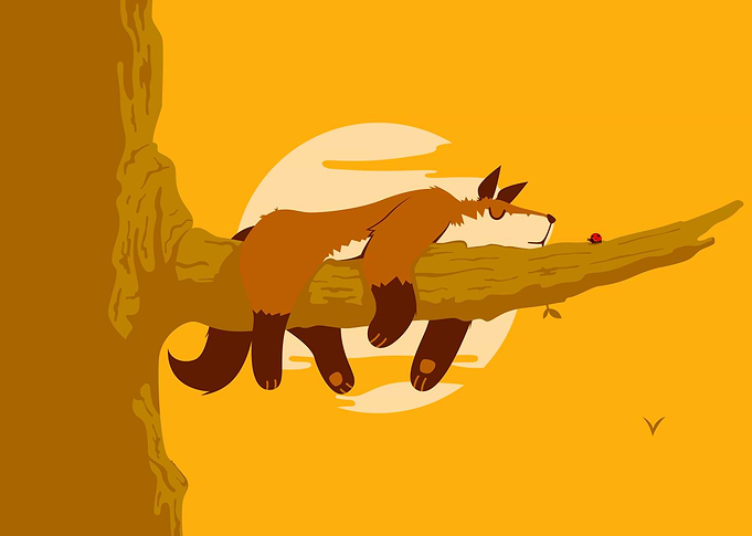 The Fox