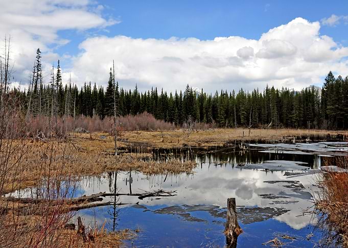 Mountain Valley Bear Pond
