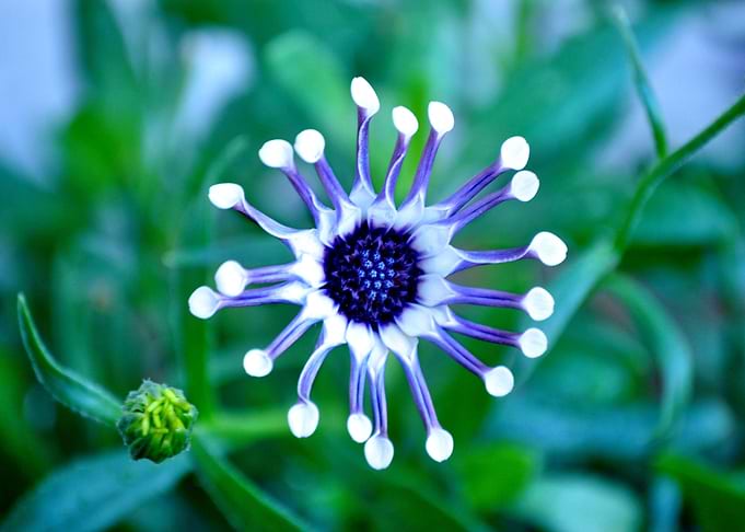 Deepening Blues