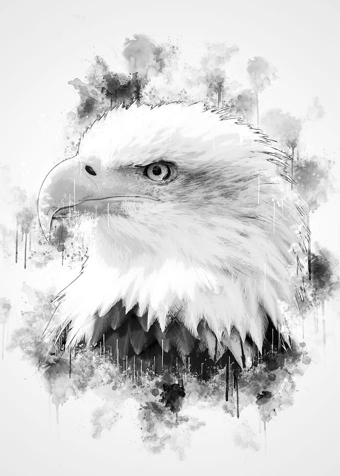 Eagle Head BW