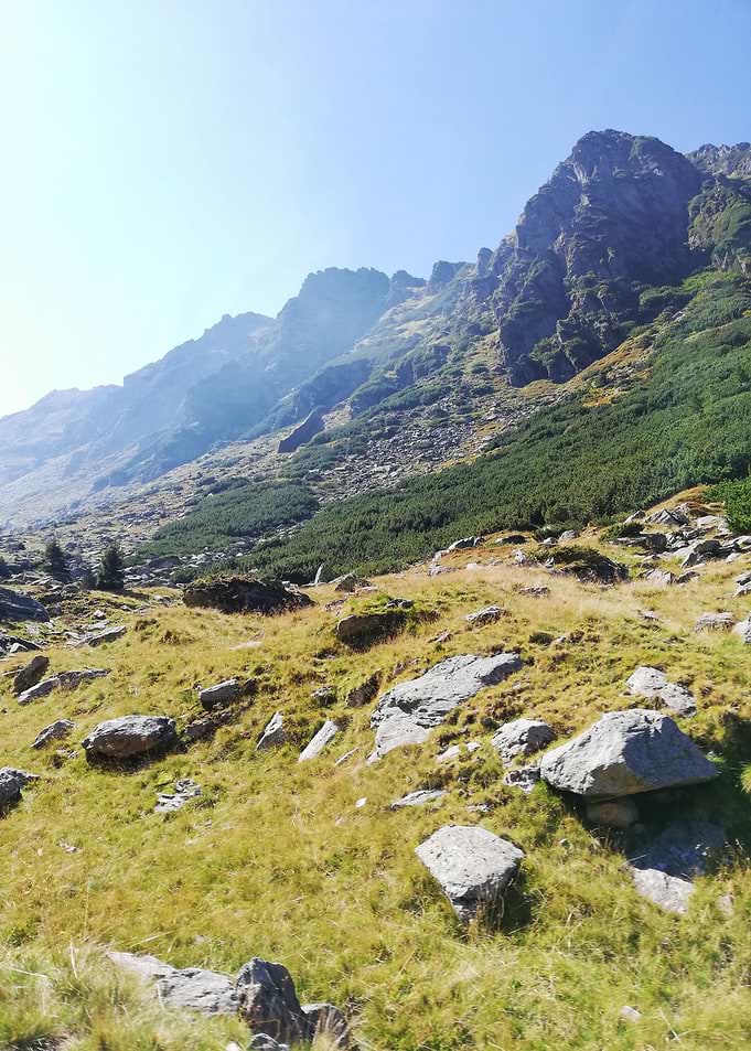 Limited mountain rocks