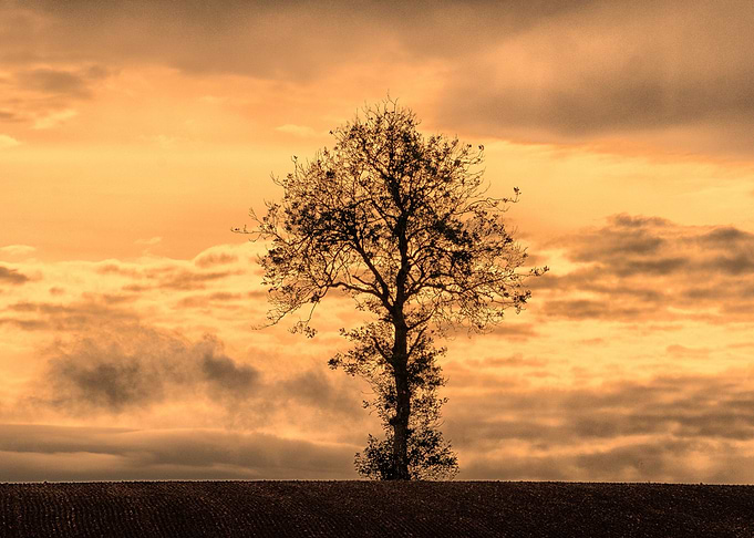 Alone